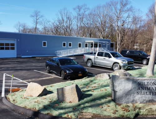 Milton Animal Shelter